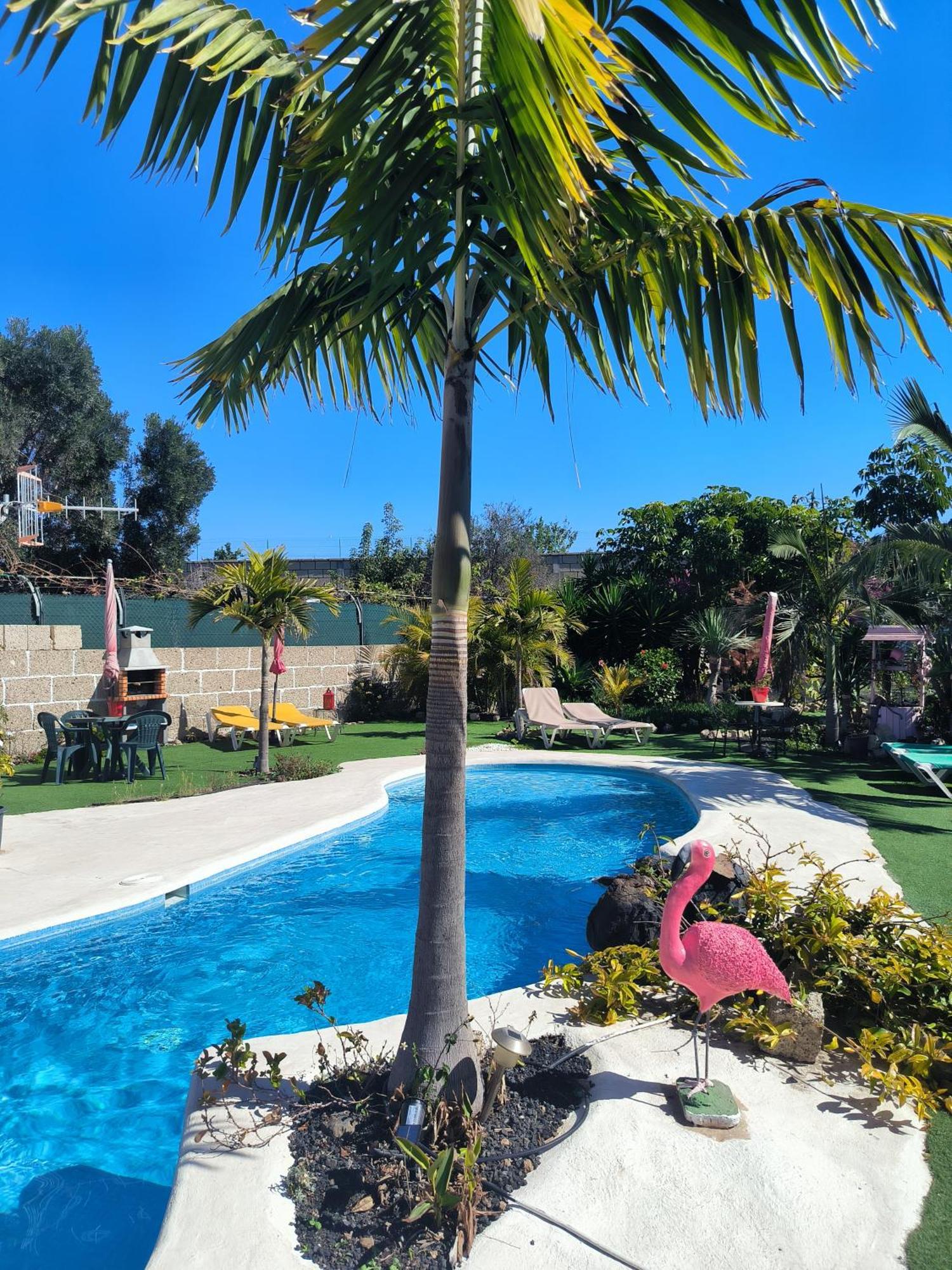 Villa Daita 2 Villa Daita 3 Granadilla De Abona Eksteriør billede