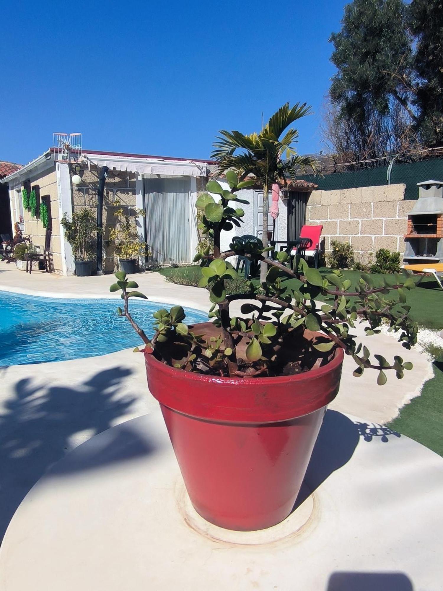 Villa Daita 2 Villa Daita 3 Granadilla De Abona Eksteriør billede